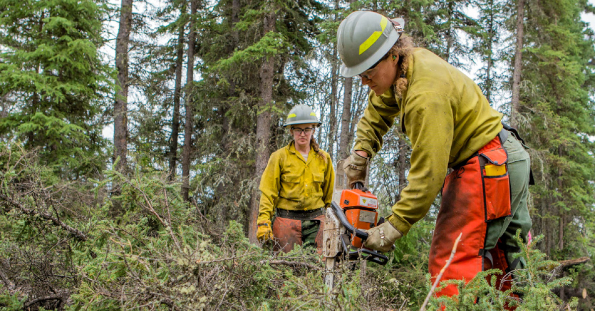 Forest Fire Inspectors and Prevention Specialists